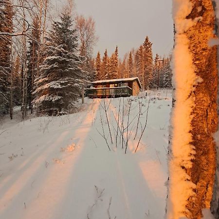 Northwoods Cottage Bed And Breakfast Φέρμπανκς Εξωτερικό φωτογραφία