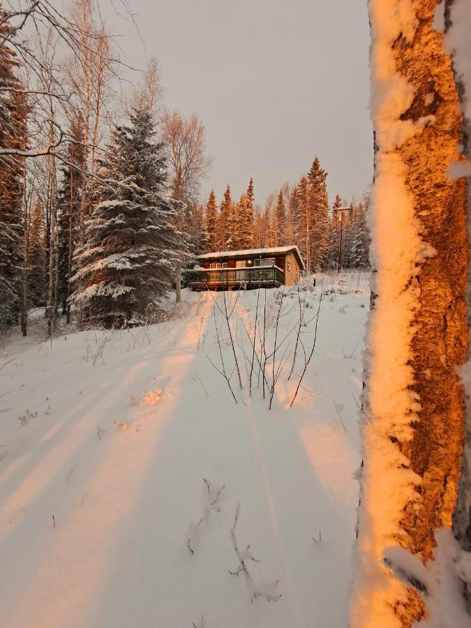 Northwoods Cottage Bed And Breakfast Φέρμπανκς Εξωτερικό φωτογραφία