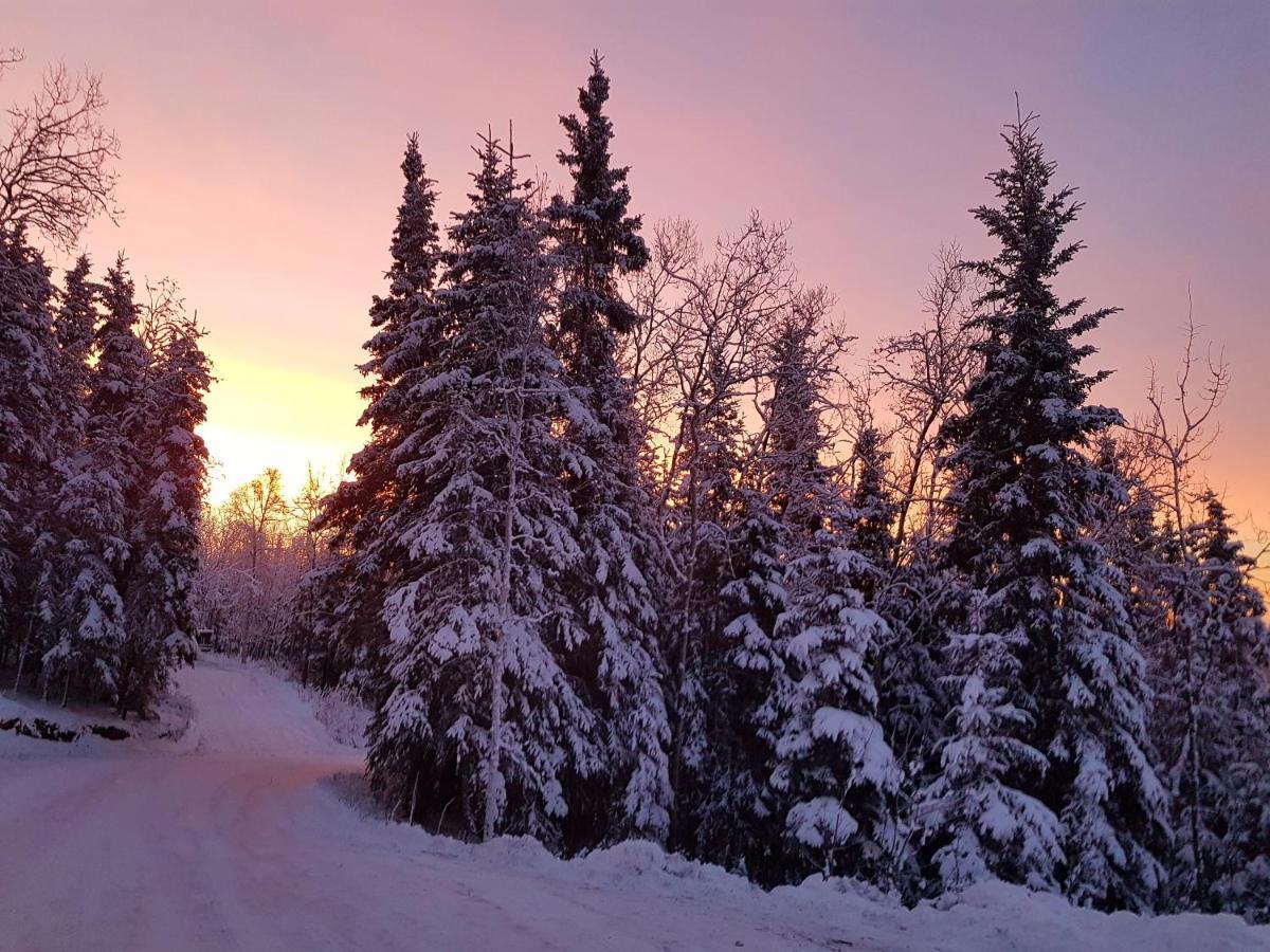 Northwoods Cottage Bed And Breakfast Φέρμπανκς Εξωτερικό φωτογραφία