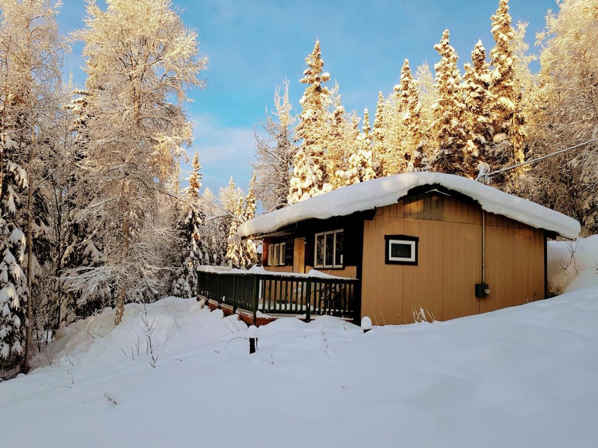 Northwoods Cottage Bed And Breakfast Φέρμπανκς Εξωτερικό φωτογραφία