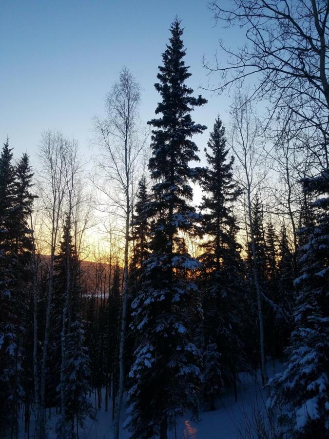 Northwoods Cottage Bed And Breakfast Φέρμπανκς Εξωτερικό φωτογραφία