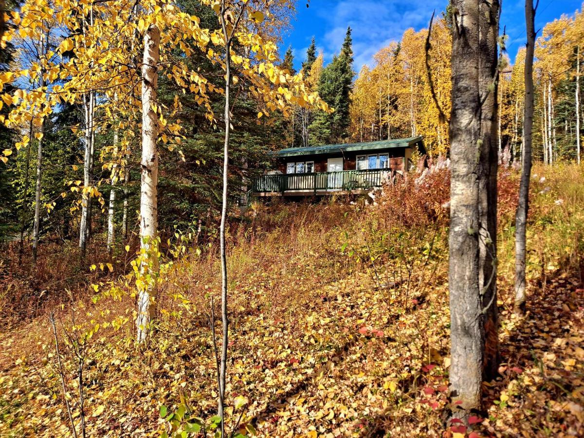 Northwoods Cottage Bed And Breakfast Φέρμπανκς Εξωτερικό φωτογραφία