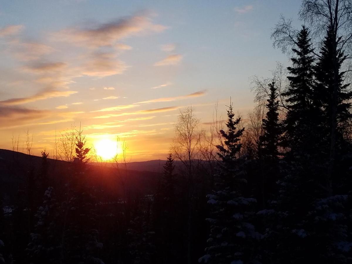 Northwoods Cottage Bed And Breakfast Φέρμπανκς Εξωτερικό φωτογραφία