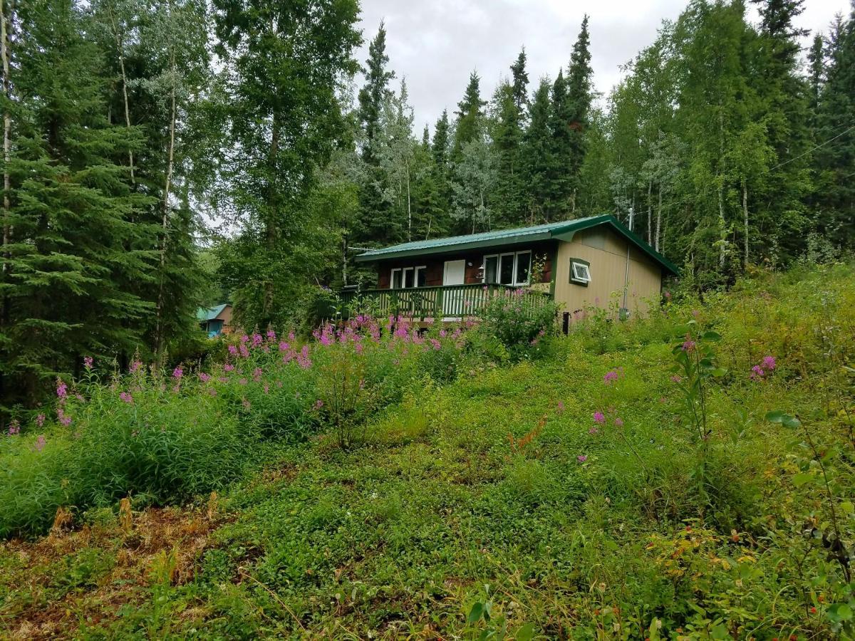 Northwoods Cottage Bed And Breakfast Φέρμπανκς Εξωτερικό φωτογραφία