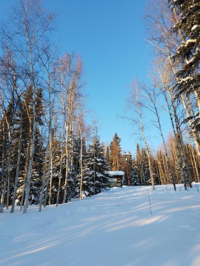 Northwoods Cottage Bed And Breakfast Φέρμπανκς Εξωτερικό φωτογραφία