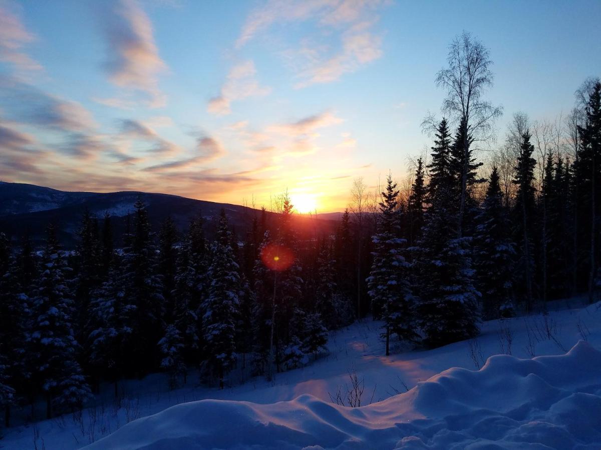 Northwoods Cottage Bed And Breakfast Φέρμπανκς Εξωτερικό φωτογραφία
