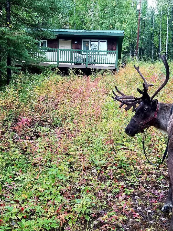 Northwoods Cottage Bed And Breakfast Φέρμπανκς Εξωτερικό φωτογραφία