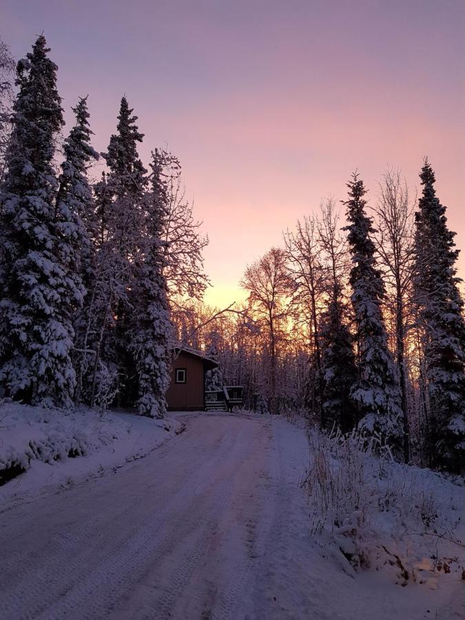 Northwoods Cottage Bed And Breakfast Φέρμπανκς Εξωτερικό φωτογραφία