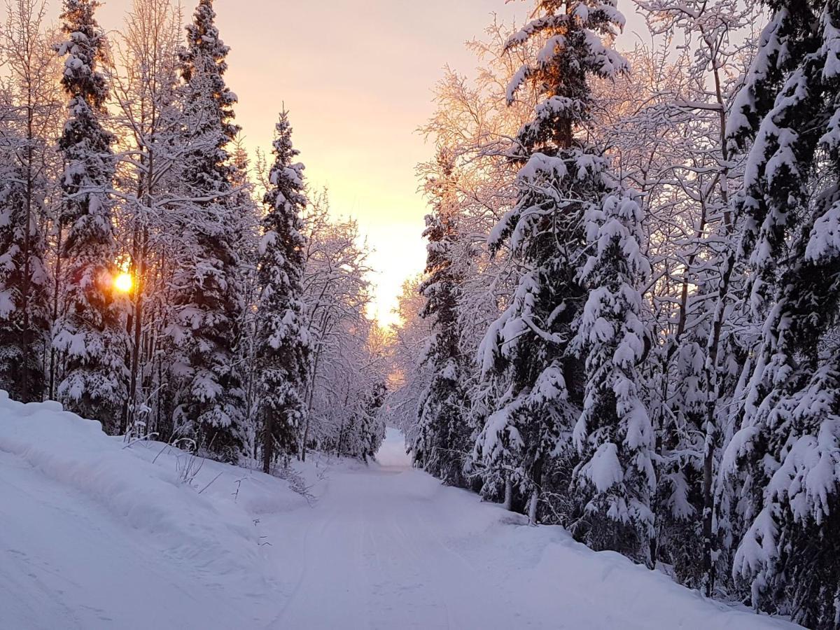 Northwoods Cottage Bed And Breakfast Φέρμπανκς Εξωτερικό φωτογραφία