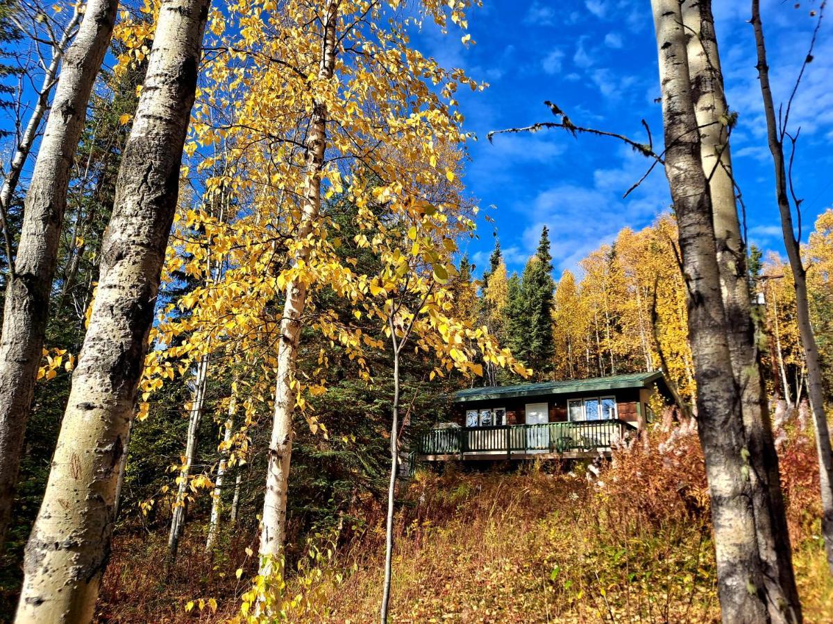 Northwoods Cottage Bed And Breakfast Φέρμπανκς Εξωτερικό φωτογραφία