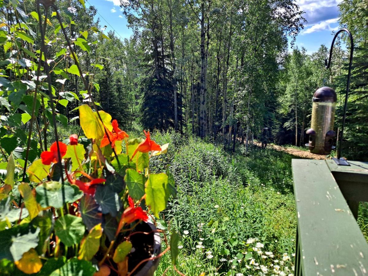 Northwoods Cottage Bed And Breakfast Φέρμπανκς Εξωτερικό φωτογραφία