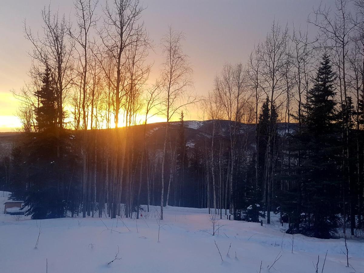 Northwoods Cottage Bed And Breakfast Φέρμπανκς Εξωτερικό φωτογραφία