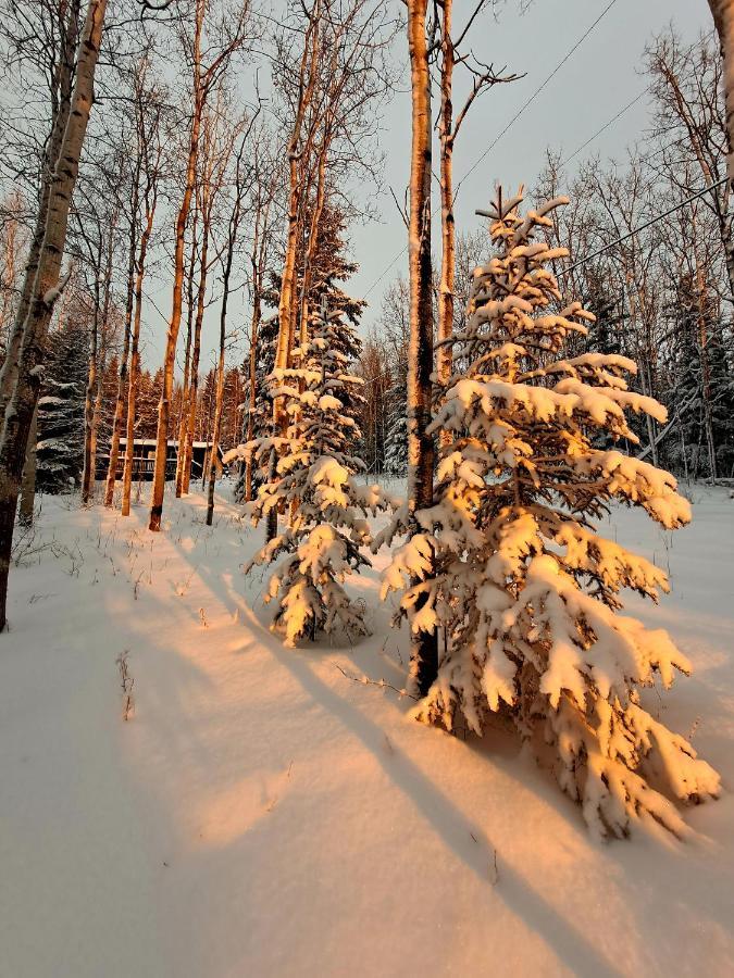 Northwoods Cottage Bed And Breakfast Φέρμπανκς Εξωτερικό φωτογραφία